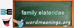 WordMeaning blackboard for family elateridae